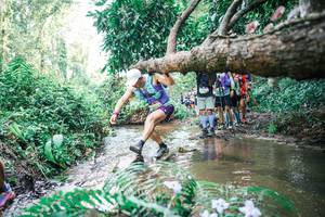 BIB: 
                            <button type="button" onclick="openModal(25476882)" class="btn btn-primary btn-sm float-right btn-popup" data-toggle="modal" data-target=".modal-high-quality">
                        <i class="fas fa-shopping-cart"></i> Add to Cart
                    </button>
                                            <button type="button" onclick="isThisMe(25476882, true)" class="btn btn-success btn-sm float-right btn-popup btn-isme hidden" data-toggle="tooltip" data-placement="bottom" title="นี่คือรูปของคุณใช่ไหม คลิกที่นี่เพื่อเอาเข้าอัลบั้ม">
                        <i class="fas fa-plus"></i> Add to album
                    </button>
                    <button type="button" onclick="isThisMe(25476882, false)" class="btn btn-warning btn-sm float-right btn-popup btn-isnotme hidden">
                        <i class="fas fa-ban"></i> Remove from album
                    </button>